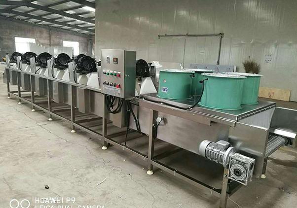 辣椒清洗風(fēng)干流水線—Pepper cleaning and air drying line